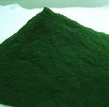 Chlorella Vulgaris Powder