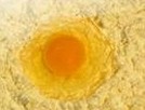 Egg yolk lecithin