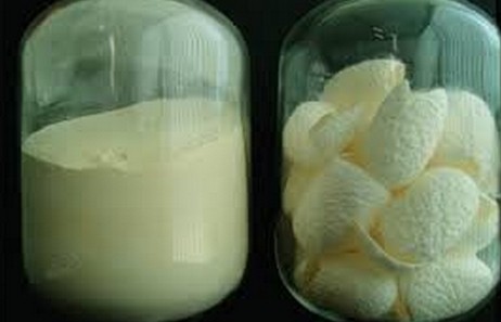 Silk Peptide
