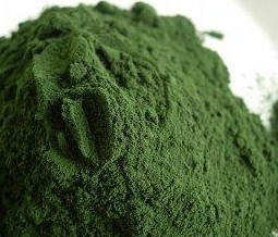 Spirulina