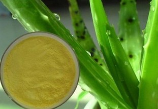 Aloe Vera Extract
