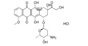Doxorubicin HCL