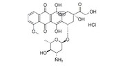 Epirubicin HCL