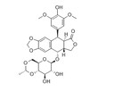 Etoposide