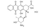Idarubicin HCL