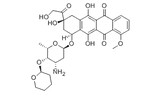 Pirarubicin