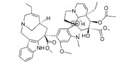 Vinorelbine 