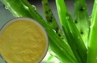 Aloe vera powder