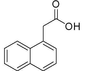 1-naphthlcetic acid