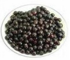Black currant oil
