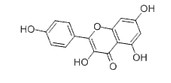 Kaempferol