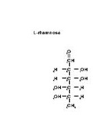 L-rhamnose