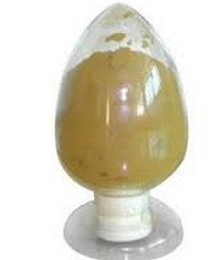 Panax Notoginsenosides
