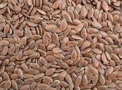 Flax Seed Extract