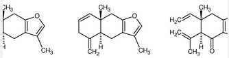 Commiphora Myrrha Extract