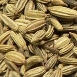 Fennel extract