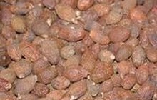 Boat-Fruited Sterculia Extract