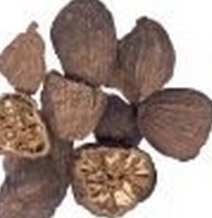 Villous Amomum Fruit Extract