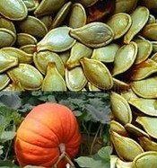 Pumpkin Seed Extract