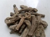 Costus Root Extract powder