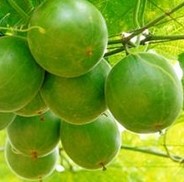 Momordica Grosvenori Extract