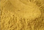 Cortex Phellodendri Extract