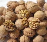 Walnut Kernel Extract