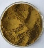 Olive Leaf Extract