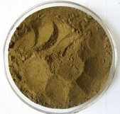 Yeast Extract